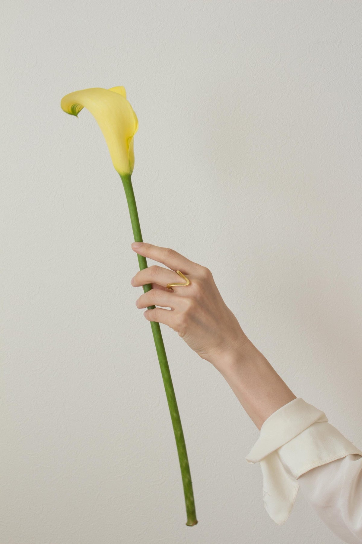 Arrow ring in gold